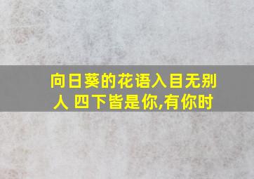 向日葵的花语入目无别人 四下皆是你,有你时